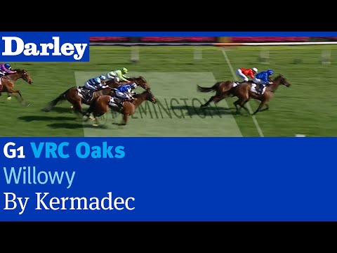 Willowy by Kermadec wins the G1 VRC Oaks at Flemington