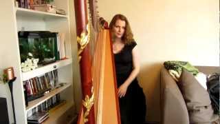 Loreena McKennitt harp cover: Between the Shadows