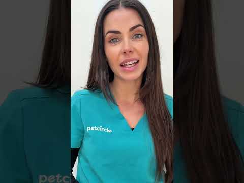 Can #dogs eat mushrooms? 🍄 | PET CIRCLE