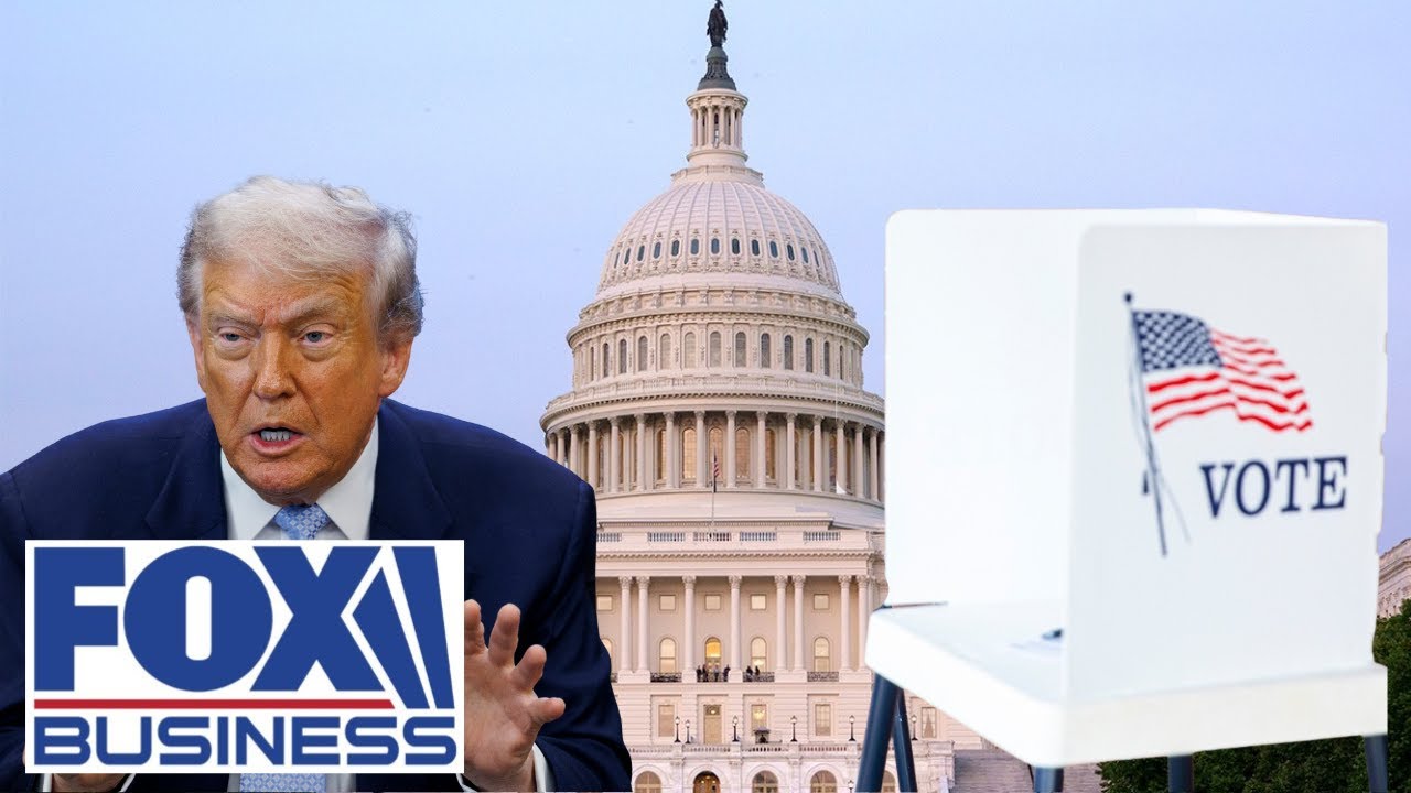 'DESTRUCTIVE WASTE OF TIME’: Lawmaker says midterms are about Americans, not Trump