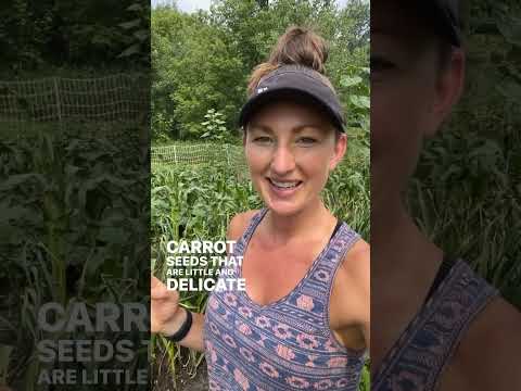 , title : 'How to get carrot seeds to germinate'