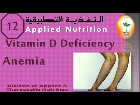 Applied Nutrition Ch 2 Meal Planning part 01 تغذية تطبيقية