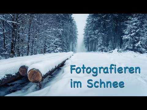 Fotografieren im Schnee  |  Winter  |  Wald  |  Landschaftsfotografie  |  Tutorial  |  Anleitung  |