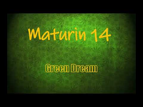 Youtube Video DaP_asbQuZ0