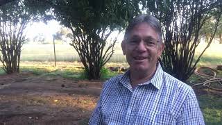 Died for my Sin - Resurrected for my New Life