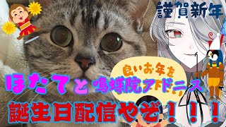 【猫のほたて】ほたて＆鳴蝶院アドニス誕生日おめでとう【Vtuber】