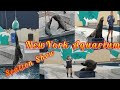 New York Aquarium Sea Lion Show Times