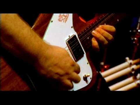 Gov't Mule - Rockpalast 2005