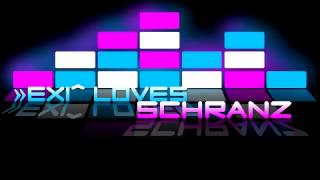 This Is Schranz Video