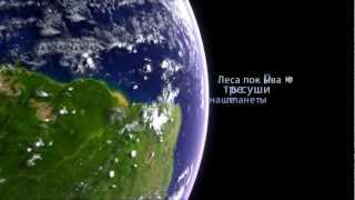 Международный день лесов – 2013 год