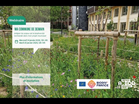 [Webinaire] Ma commune de demain Intégrer les enjeux de la biodiversité normande dans mon projet municipal