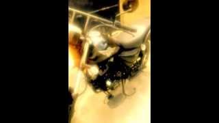 Sukida nomada Ecuador