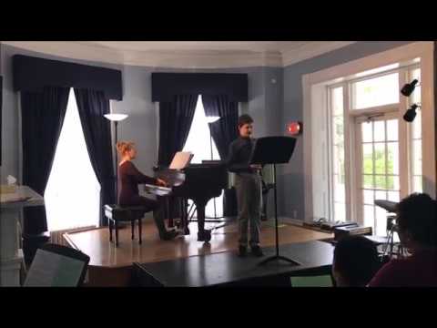 L. Delibes Waltz from Coppelia, clarinet