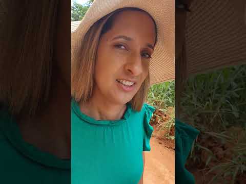 Viagem MG - Vilarejo Vila dos Ribeiros- RFRP+96 - Marambainha, Caraí - MG - 16/Jan/26 - 11:45