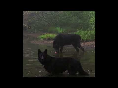 [FREE] "When it Comes, Hide" Slowdive x Sad Shoegaze Type Beat 2023