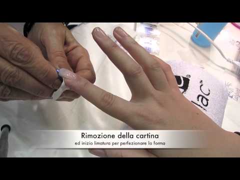 CND Brisa Lite application tutorial