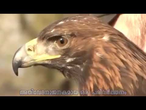 പുനർജന്മം