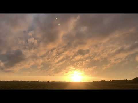 Dick Buscher & The Cliches - Run Boy