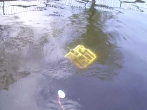 Video Thử Nghiệm Sông (River Testing Video)