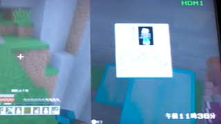 ［マイクラ］入江との最強の場所紹介