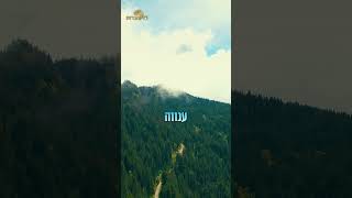 אם יש לכם את זה הזוגיות שלכם מושלמת | הרב דוד פריוף (הרב דוד פריוף) - התמונה מוצגת ישירות מתוך אתר האינטרנט יוטיוב. זכויות היוצרים בתמונה שייכות ליוצרה. קישור קרדיט למקור התוכן נמצא בתוך דף הסרטון