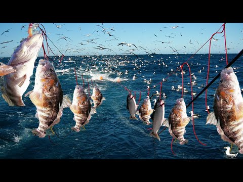 Most Satisfying Automatic longline fishing videos - Catch and store frozen fish on the modern boats