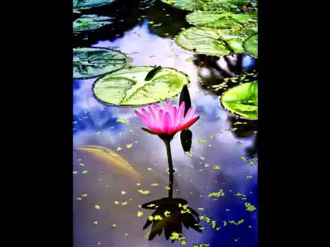 Chris Hinze - Lotus Song (T'ai Chi - In Balance)