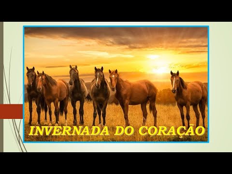 INVERNADA DO CORAÇÃO*****LUIZ FERNANDO E JOÃO PINHEIRO - Composição - Luiz Fernando