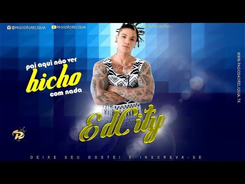EDCITY AO VIVO PAI AQUI NÃO VER BICHO COM NADA