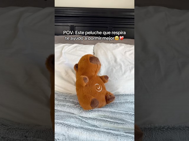 Vídeo relacionado con YRTUOP Peluche Eléctrico Lindo Capybara, Mascotas Interactivas para Niños Muñeca Suave Eléctrica Andante con Sonido Y Luz Que Camina para Adultos Chica Chico Casa Sala De Juegos De Niños