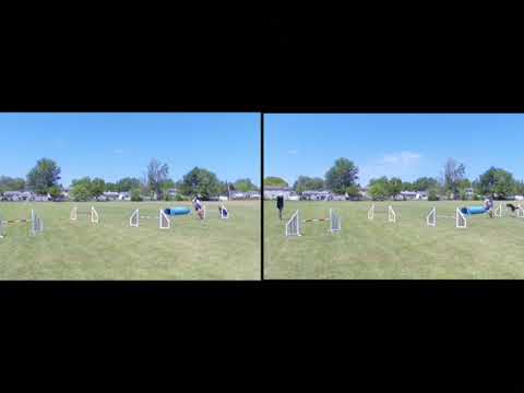 Aug152019 1013AM 0F253P