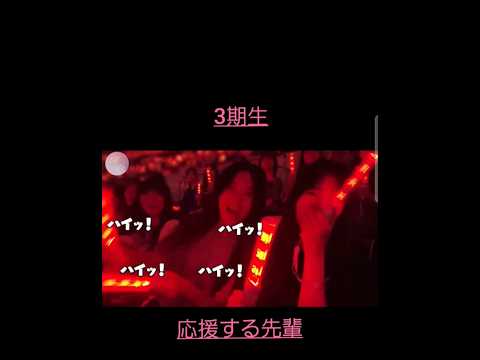 櫻坂3期生LIVE大阪城ホールにて応援する先輩　　#shorts