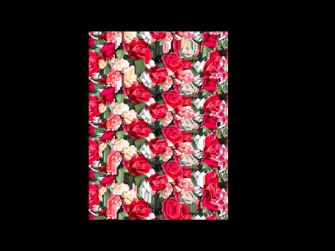 timberlee - sticky sticky