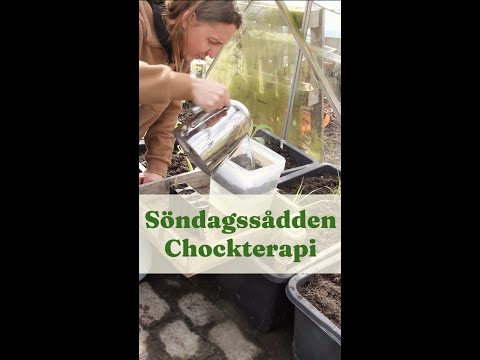 Söndagssådden Chockterapi - Trädgårdshacks med GardenR