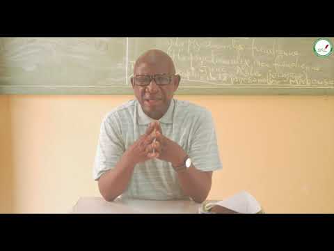 Course - Final Year - Philosophy: Consciousness and Unconscious / Conceptual Analysis / Suite 1 M...