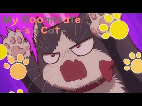 Lonely | My Roommate is a Cat