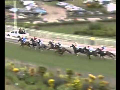 Meeting1 race3 (Shutterfly)