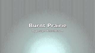 Burnt Prairie by Joseph Kerschbaum