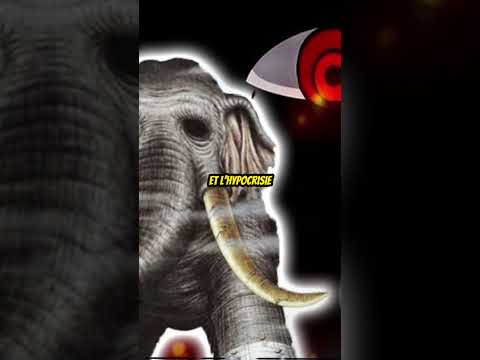 La TRAHISON de ZUNESHA envers JOY BOY dans ONE PIECE ! 🐘 #shorts #anime #onepiece