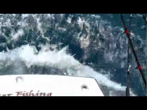 NEW: Trev Gowdy's Monsterfish 2010, Thresher