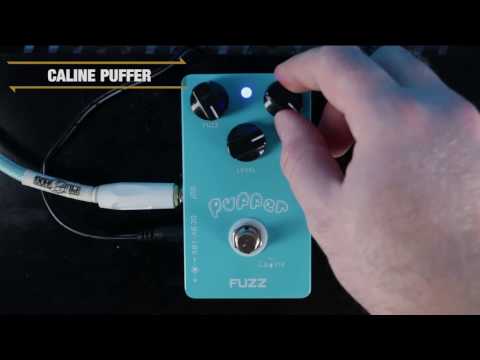 Caline Puffer Fuzz Pedal | GEAR GODS