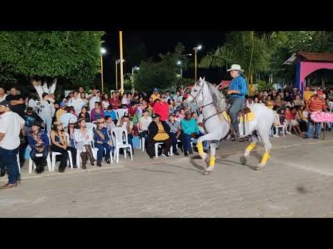 Presentación Ecuestre en La Paz de Carazo - Nicaragua cabitas y cabos 