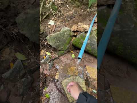 Minas Gerais e suas riquezas naturais / Cidade de Mantena MG