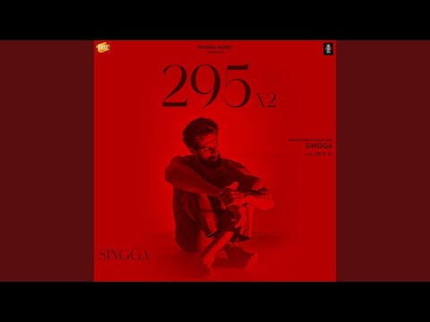 295 X2