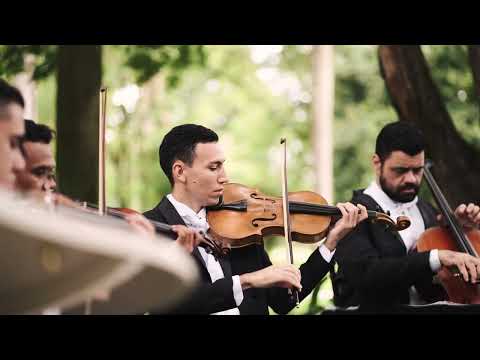 Vejo enfim a Luz Brilhar ( I See the Light) -  Filme Enrolados Disney - Instrumental