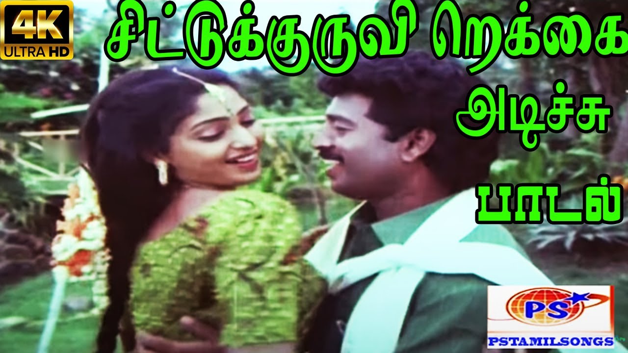 Chittukuruvi Rekkai Adichu Song Lyrics | Annaiyin Madiyil