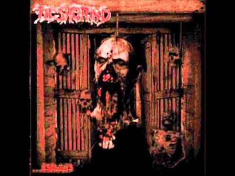 Fleshgrind - Holy Pedophile (live) (2004)