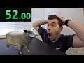 Crazy Cattle 3D Speedrun Ireland 0 52 00 NEW WR