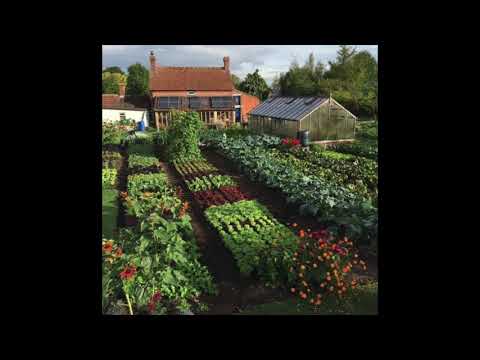 [FREE] Clairo x Bedroom Pop x Cuco Type Beat - "Kitten"