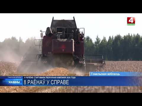 Восемь районов Гомельской области приступили к уборке озимого ячменя видео